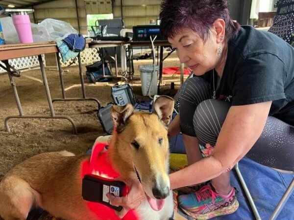 MagnaWave ROC RedLight