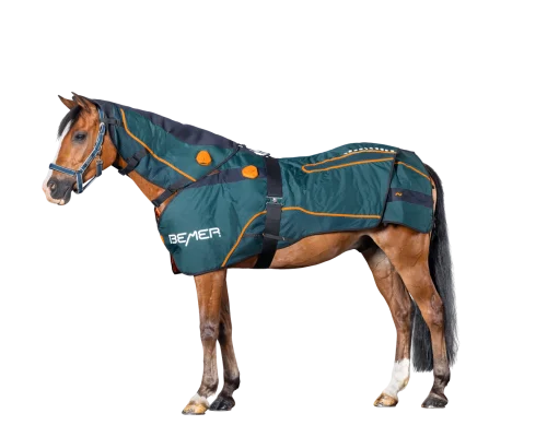 equineworldstore (14) BEMER Perfect Horse Duo