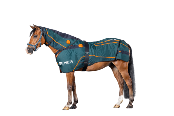 equineworldstore (14) BEMER Perfect Horse Duo