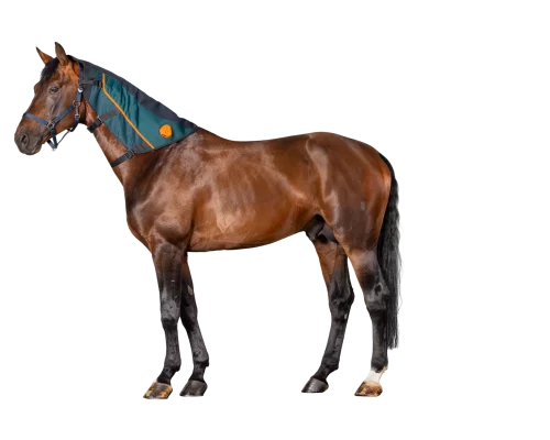 equineworldstore (14) Bemer Neck applicator