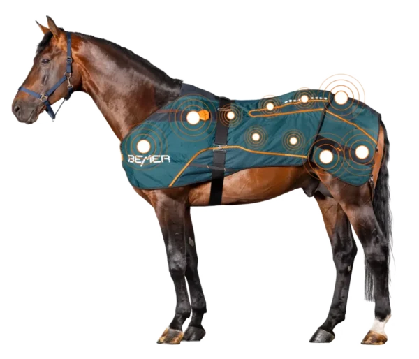 Bemer Horse blanket