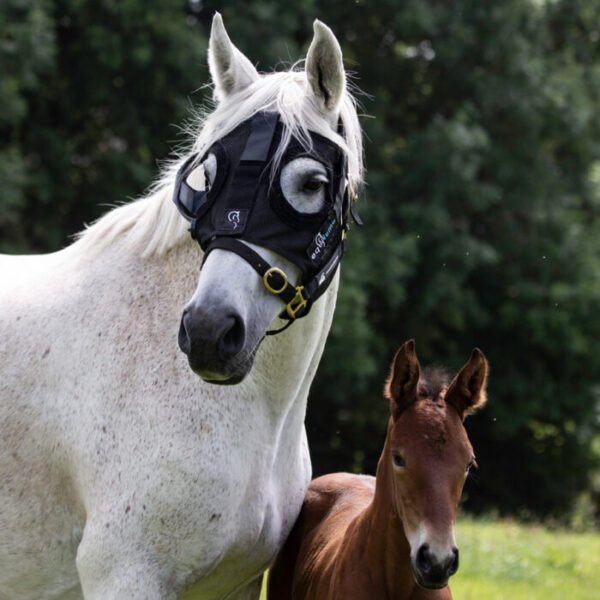 Equilume Curragh Light Mask