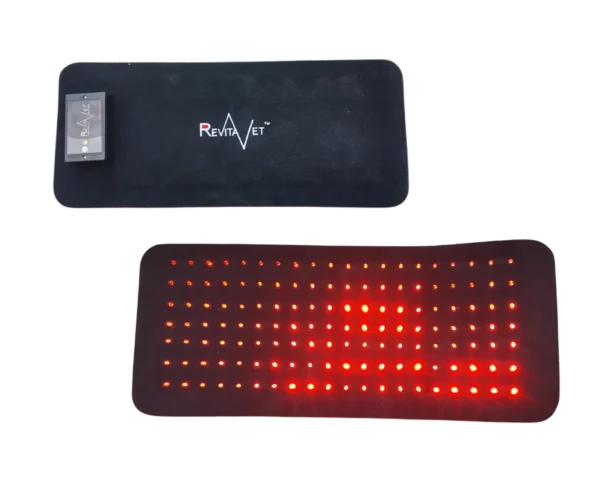 equineworldstore (2) RevitaVet Back Saver