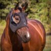 equineworldstore (20) Equilume Belfield Light Mask