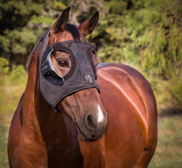 equineworldstore (20) Equilume Belfield Light Mask