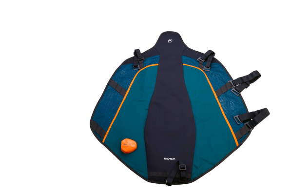 equineworldstore (21) BEMER Perfect Horse Duo