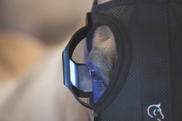 equineworldstore (22) Equilume Belfield Light Mask