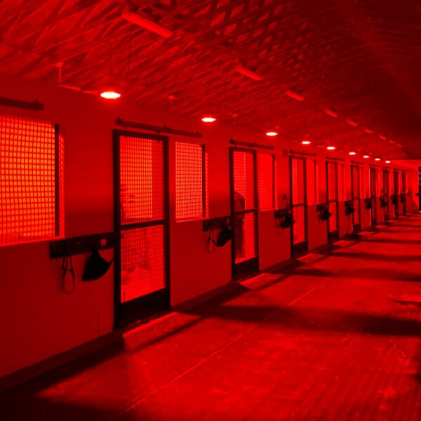 Equilume Stable Light