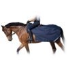 equineworldstore (3) Rain Exercise Sheet