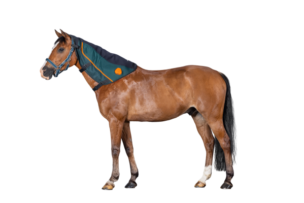 Bemer Neck applicator