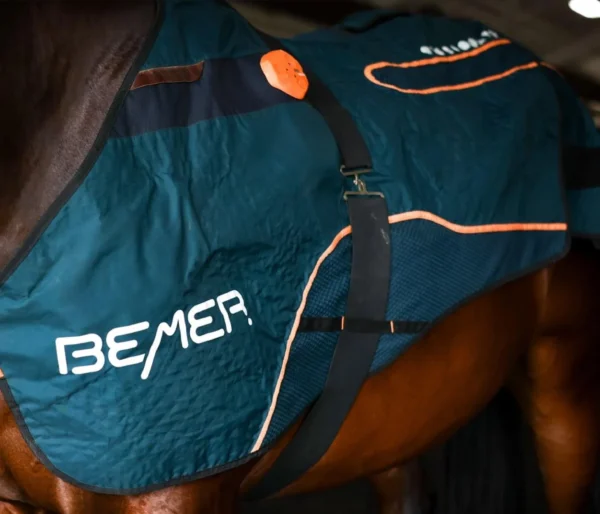 Bemer Horse blanket