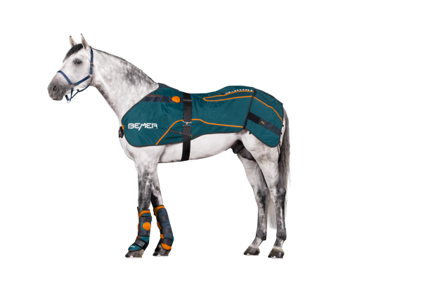 equineworldstore (48) Bemer Cuffs