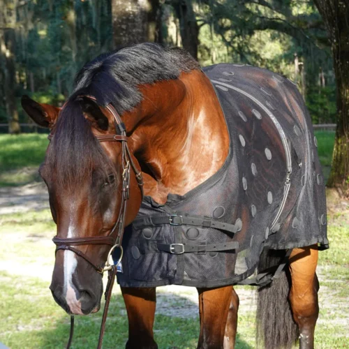 equineworldstore Rejuvenate SmartScrim