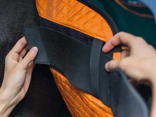 Bemer Strap system for horse blanket