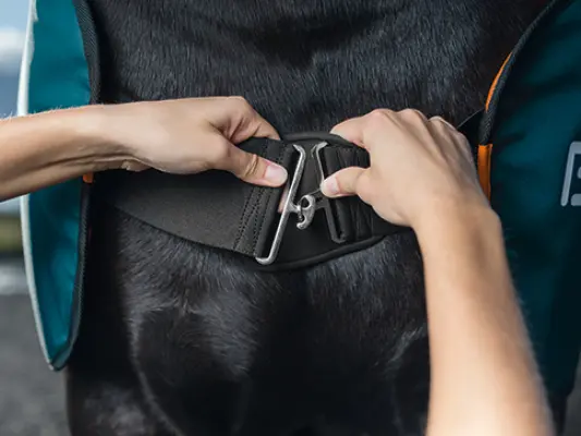 Bemer Strap system for horse blanket