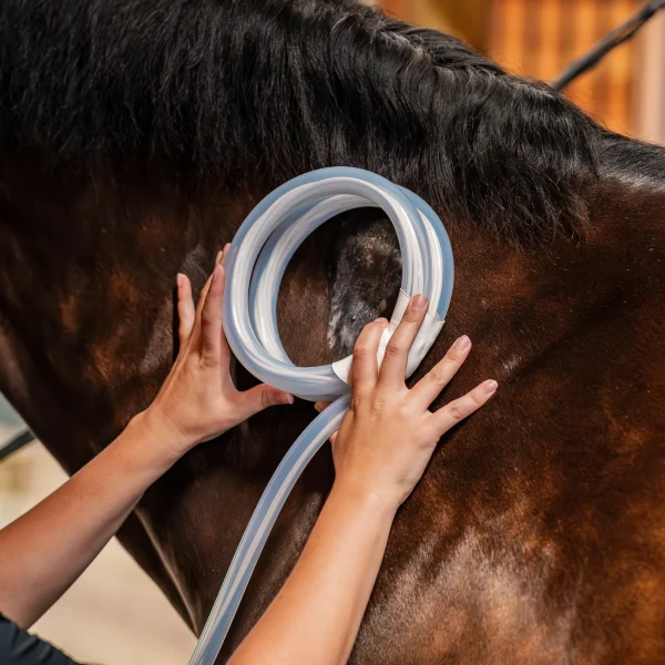 equineworldstore (6) MagnaWave Butterfly Loop