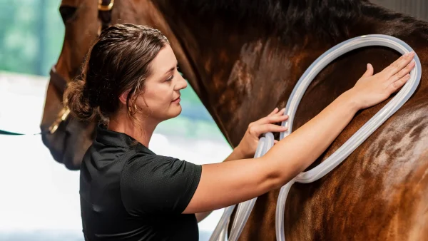 MagnaWave Large Loop