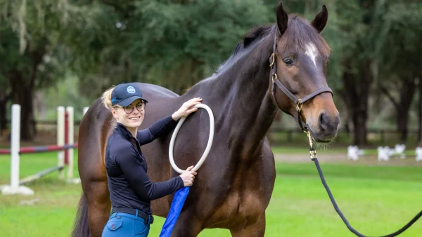 MagnaWave Large Loop