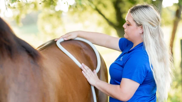 MagnaWave Large Loop