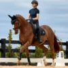 WeatherBeeta Softshell Pro 3D Air-Tec Dressage Saddle pad