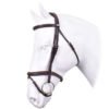 Equipe BR35 Bridle
