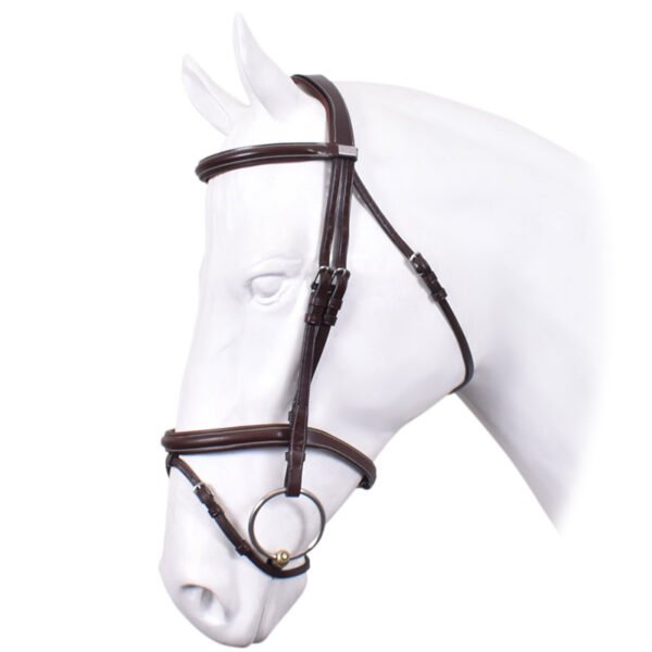 Equipe BR35 Bridle