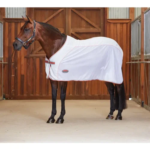 equineworldstore (125) Weatherbeeta Therapy-Tec Airstream Standard Neck