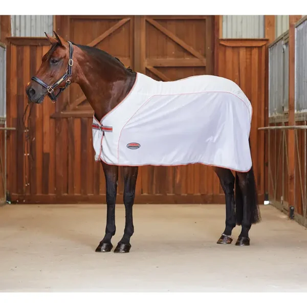 equineworldstore (125) Weatherbeeta Therapy-Tec Airstream Standard Neck