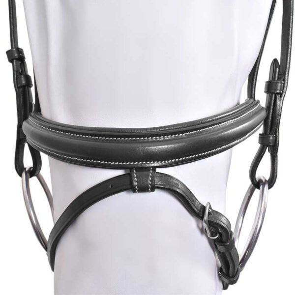 Equipe BR35 Bridle