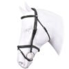 Equipe BR35 Bridle