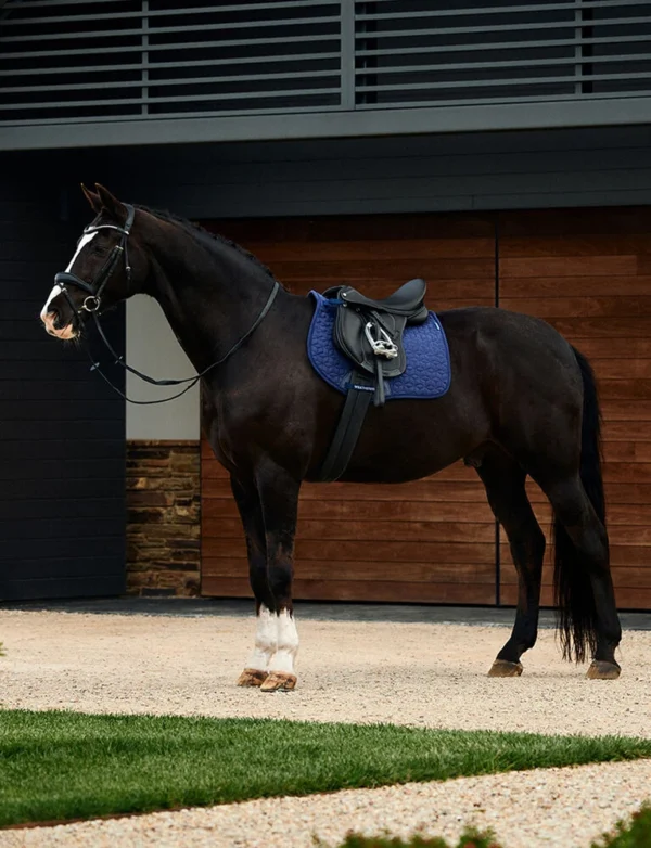 equineworldstore (178) Weatherbeeta Suede Elite Air-Tec All Purpose Saddle Pad