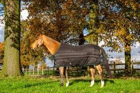The Complete Guide to Choosing the Right Horse Blanket for Every Season
