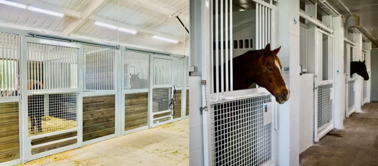 Barn & Stable Essentials Checklist: Must-Have Supplies for Every Horse Owner