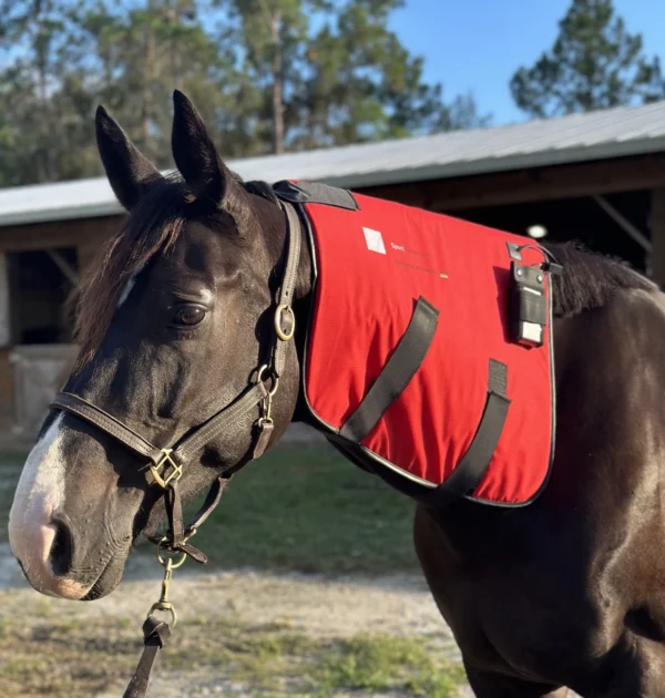 equineworldstore (70) Used PEMF Equine Neck Part