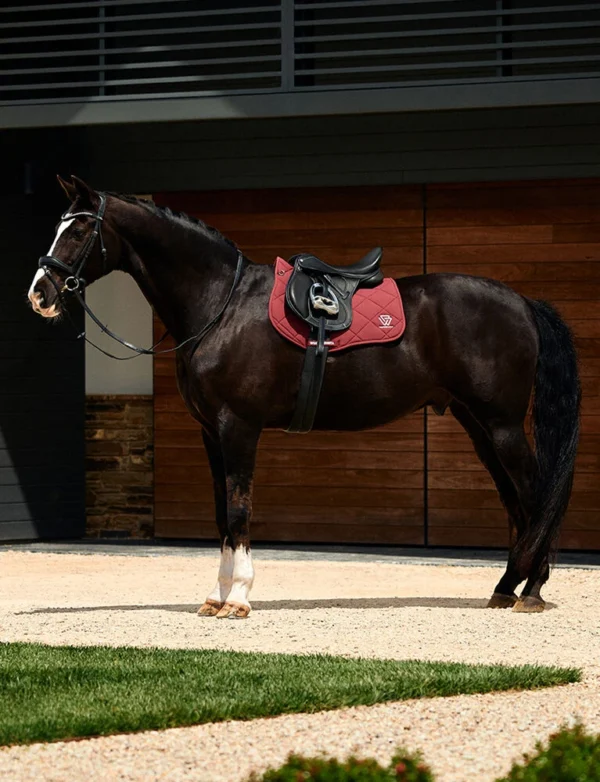 equineworldstore (94) WEATHERBEETA Softshell Pro 3D Air-Tec All Purpose Saddle Pad