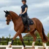 WeatherBeeta Softshell Pro 3D Air-Tec Dressage Saddle pad