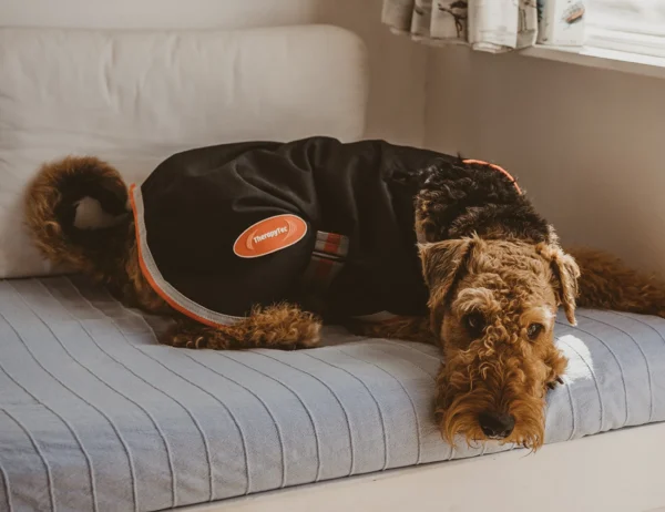 WeatherBeeta ComFiTec 1200D Therapy-Tec Dog Coat
