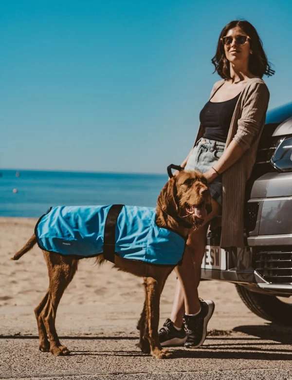 WeatherBeeta Therapy-Tec Cooling Dog Coat