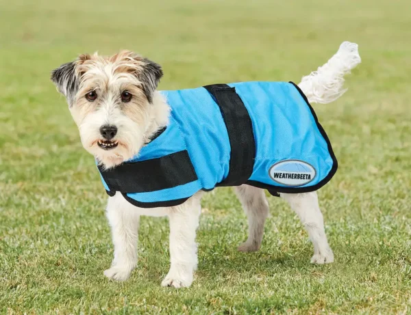 WeatherBeeta Therapy-Tec Cooling Dog Coat