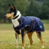 equineworldstore (153) WeatherBeeta ComFiTec Premier Deluxe Waterproof Dog Coat