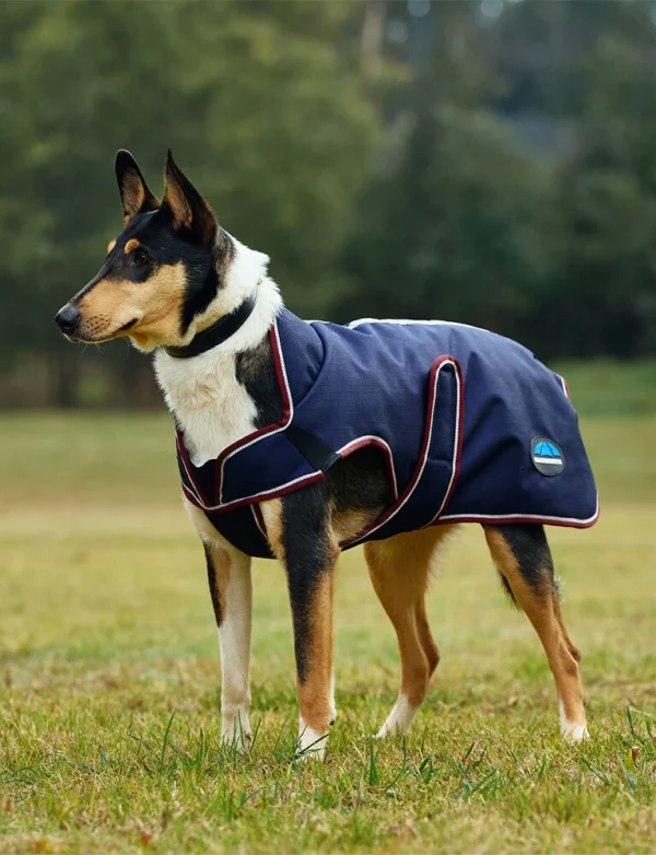 equineworldstore (153) WeatherBeeta ComFiTec Premier Deluxe Waterproof Dog Coat