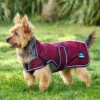 equineworldstore (154) WeatherBeeta ComFiTec Premier Deluxe Waterproof Dog Coat