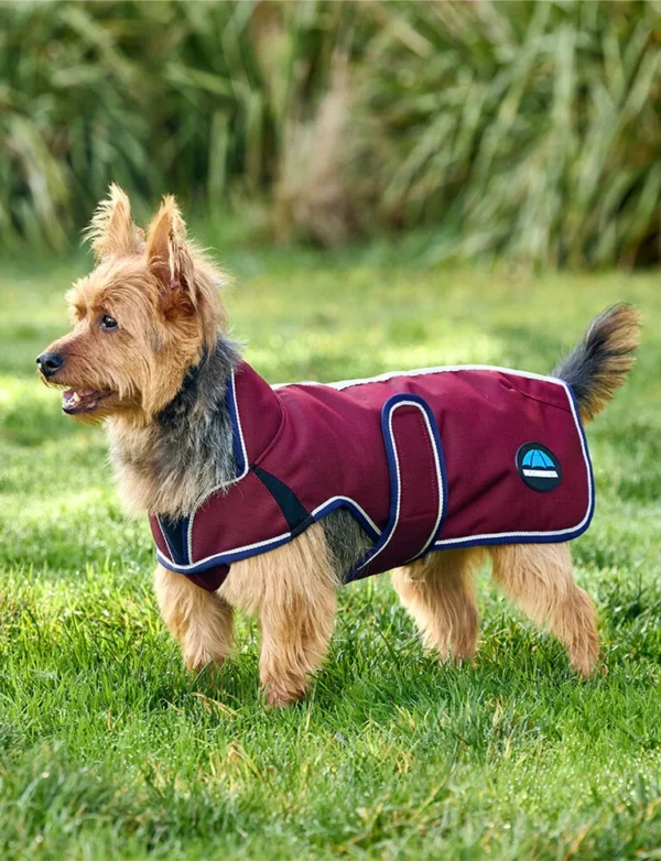 equineworldstore (154) WeatherBeeta ComFiTec Premier Deluxe Waterproof Dog Coat
