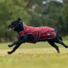 equineworldstore (155) WeatherBeeta ComFiTec Premier Deluxe Waterproof Dog Coat