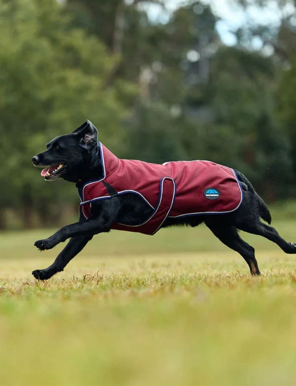 equineworldstore (155) WeatherBeeta ComFiTec Premier Deluxe Waterproof Dog Coat