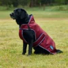 equineworldstore (156) WeatherBeeta ComFiTec Premier Deluxe Waterproof Dog Coat