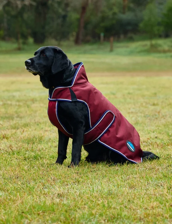 equineworldstore (156) WeatherBeeta ComFiTec Premier Deluxe Waterproof Dog Coat