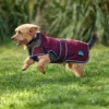 equineworldstore (158) WeatherBeeta ComFiTec Premier Deluxe Waterproof Dog Coat