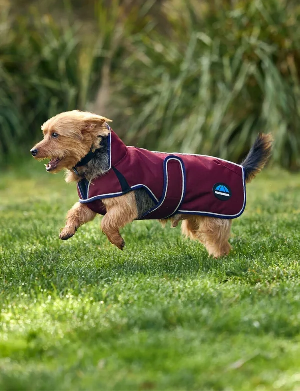 equineworldstore (158) WeatherBeeta ComFiTec Premier Deluxe Waterproof Dog Coat