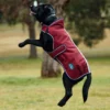 equineworldstore (159) WeatherBeeta ComFiTec Premier Deluxe Waterproof Dog Coat